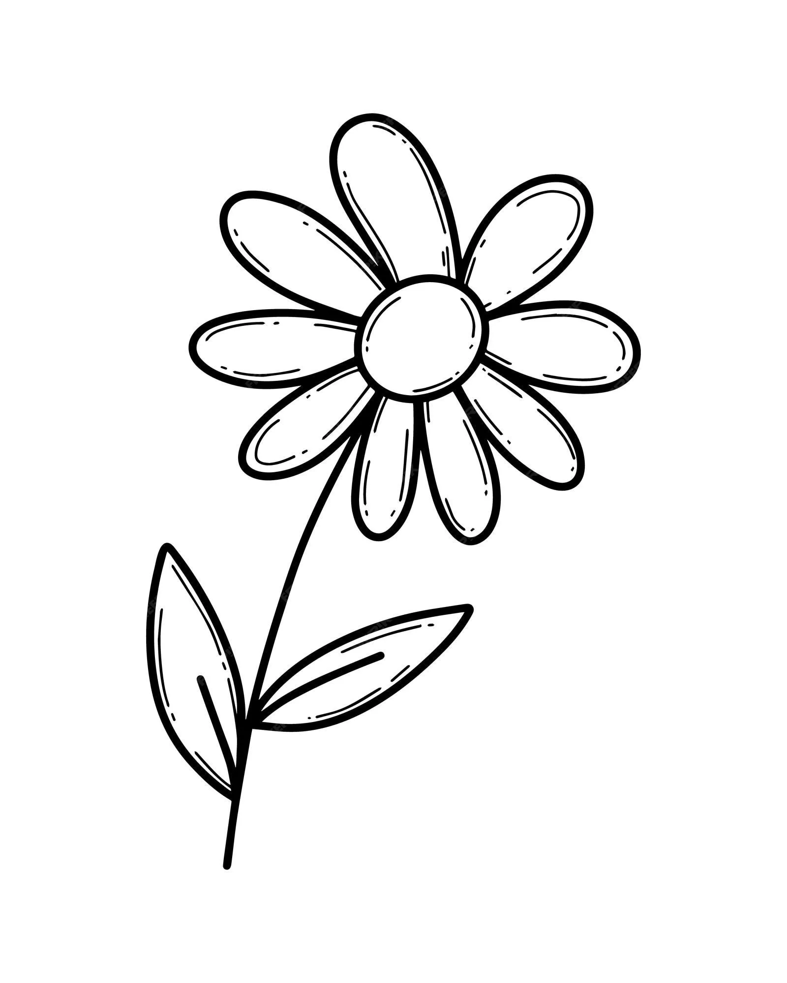 Flor de manzanilla con pétalos en un tronco con hojas planta naturaleza doodle dibujos animados lineales para colorear | Vector Premium Flor de manzanilla con pétalos en un tronco con hojas planta naturaleza doodle dibujos animados lineales para colorear | Vector Premium