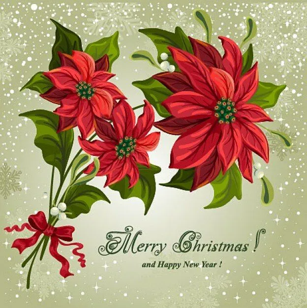 Flor de Navidad vector | Descarga gratuita de Vectores | Descargar ... Flor de Navidad vector | Descarga gratuita de Vectores | Descargar ...