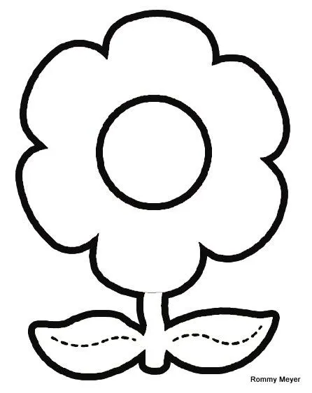 Flor con sus partes para colorear - Imagui