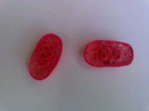 a FlOr De PiEl: Célula Vegetal en 3D
