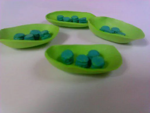a FlOr De PiEl: Célula Vegetal en 3D