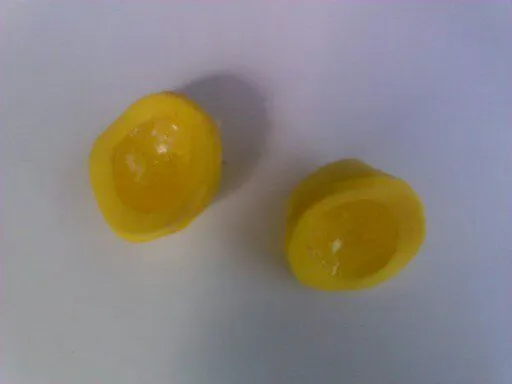 a FlOr De PiEl: Célula Vegetal en 3D