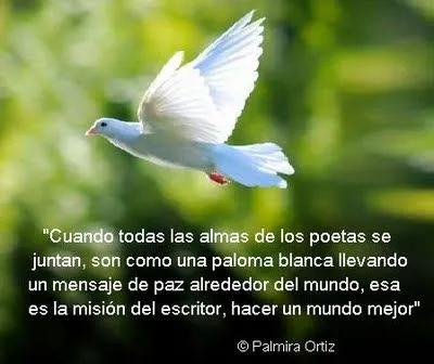 Una Flor y una Plegaria para Facundo Cabral - Foro de InfoJardín Una Flor y una Plegaria para Facundo Cabral - Foro de InfoJardín