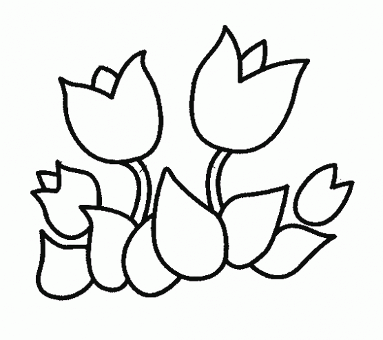 flor-tulipan-para-colorear.gif