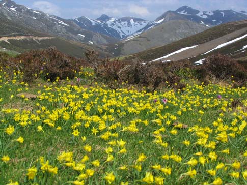 LA FLORA - Belleza Natural LA FLORA - Belleza Natural