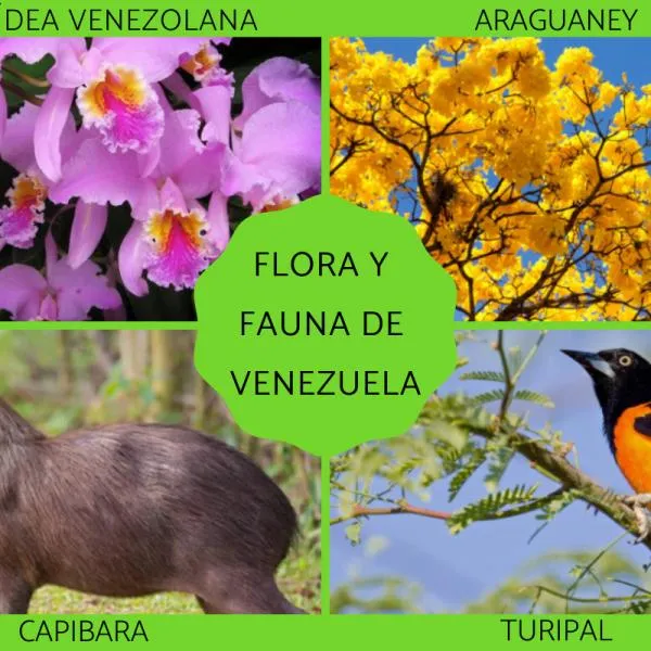 FLORA y FAUNA de VENEZUELA - Características y ejemplos FLORA y FAUNA de VENEZUELA - Características y ejemplos