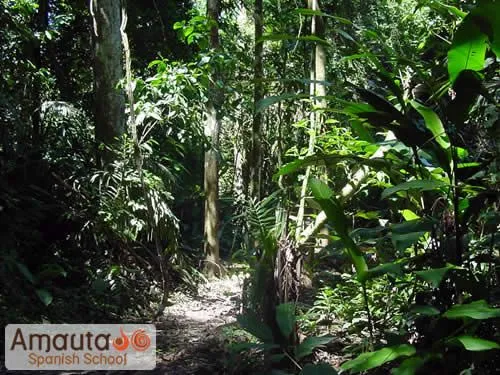 flora-y-fauna-rupa-rupa.jpg