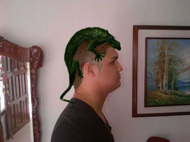 floralbagelvez : "@ElderDiaz01: Siguen los carnavales! Se mete el ... floralbagelvez : "@ElderDiaz01: Siguen los carnavales! Se mete el ...