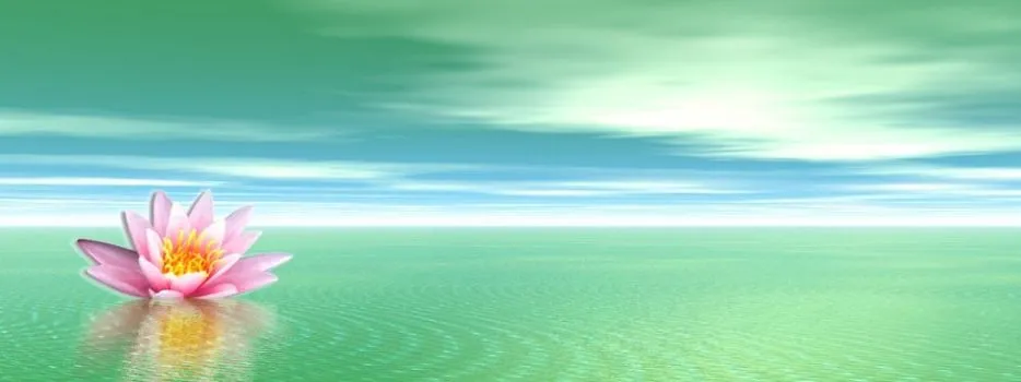 Flor_de_loto_en_agua_ ...