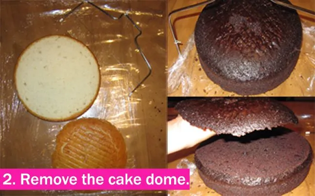 Flore Cakes: Pastel de fondant