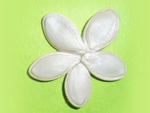 Cómo hacer florecitas con semillas de calabaza - YouTube