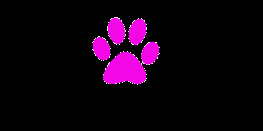 Patas gatos vector png - Imagui