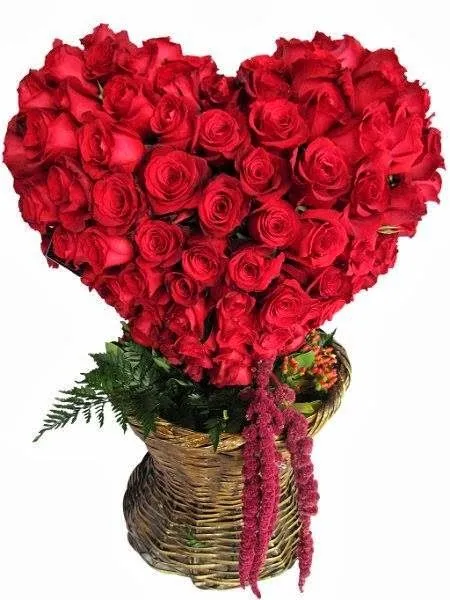 Florería en Lima: Caja de rosas, arreglos florales con peluches y ... Florería en Lima: Caja de rosas, arreglos florales con peluches y ...