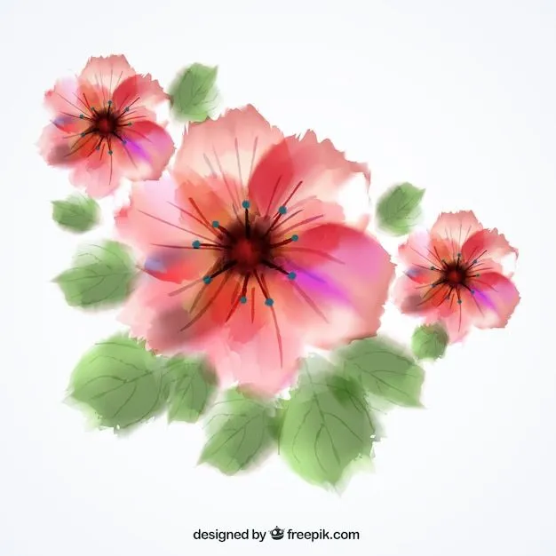 Flores de acuarela | Descargar Vectores gratis
