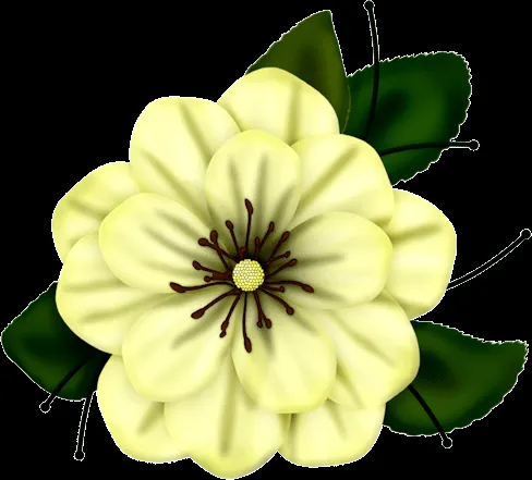 Flores animadas png - Imagui