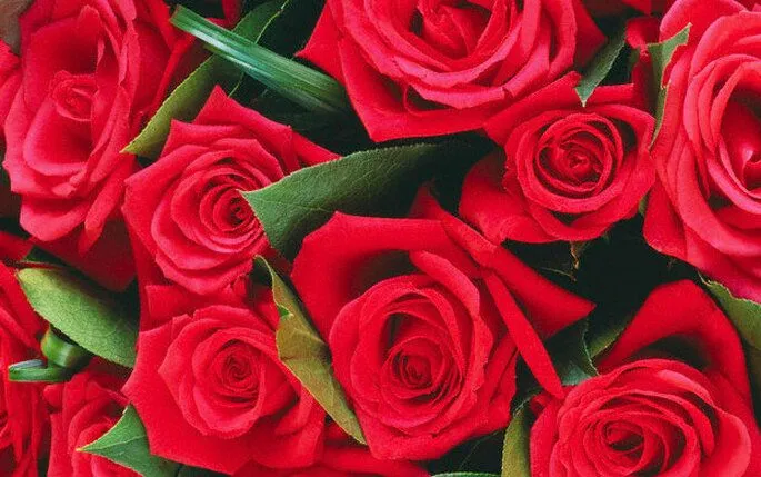 DE TODO UN MUCHO: FLORES DE NOVIAS