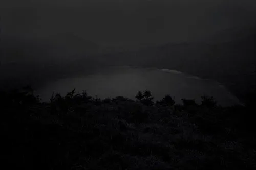 flores en el ático » Paisaje gris oscuro