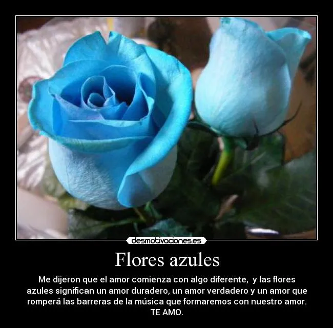 Flores azules | Desmotivaciones