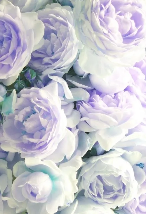 flores azules | Forever Unicornio