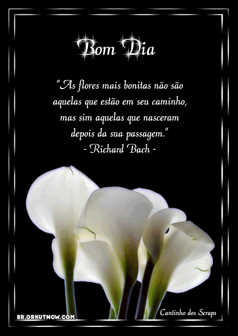 flores bonitas | Recados para Facebook e Orkut flores bonitas | Recados para Facebook e Orkut