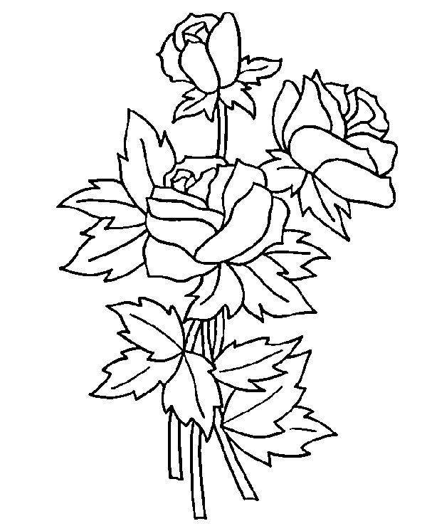 Dibujos para Colorear y Manualidades: Dibujos de rosas para colorear