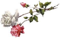 ... flores y la celebración de la Eucaristia se realizará en Santa ... flores y la celebración de la Eucaristia se realizará en Santa