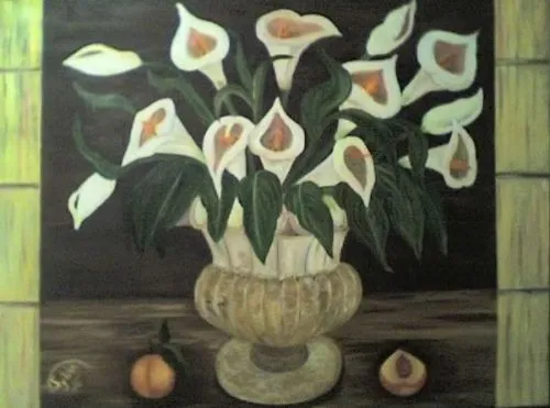 Alcatraces para pintar - Imagui