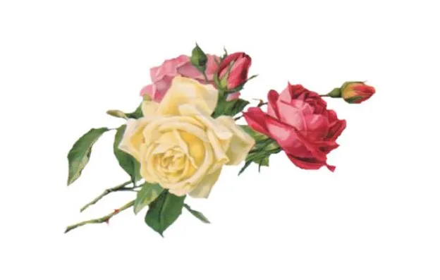 Flores en decoupage - Imagui