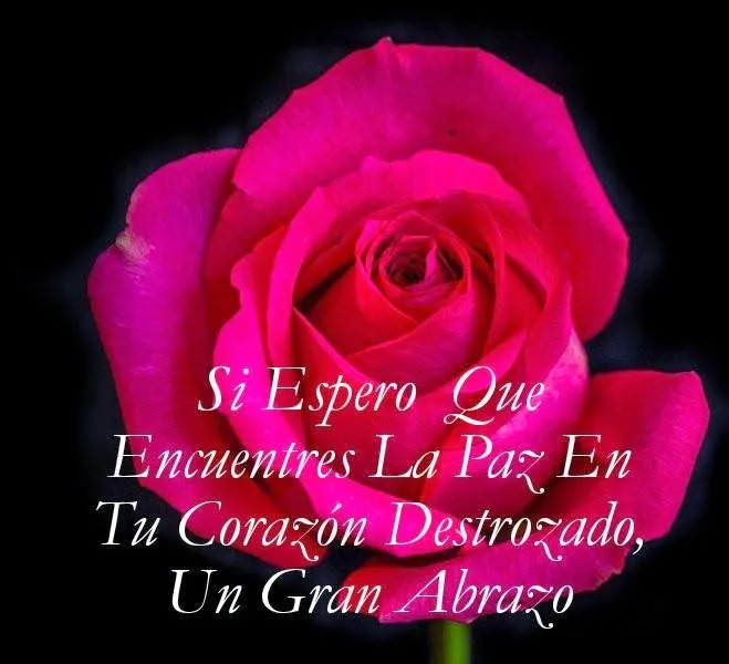 FLORES CON DEDICATORIA | EL JARDIN DE LAS REFLEXIONES