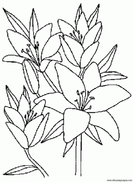 Flores para dibujar dificiles - Imagui