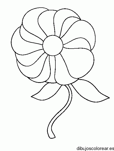 Flores | Dibujos para Colorear