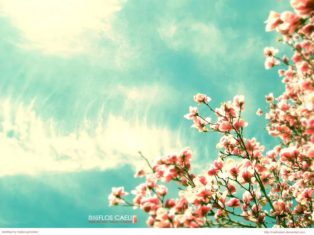 Flores wallpaper tumblr - Imagui