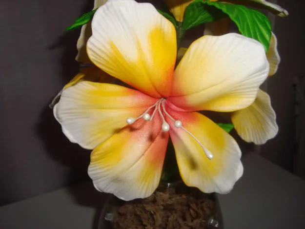 FLORES EM E.V.A | CIDADÃO 2000