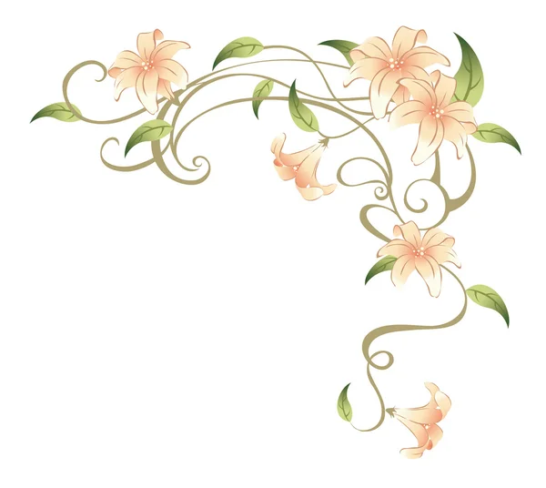 Flores y enredaderas — Foto stock © realrocking #3462915 Flores y enredaderas — Foto stock © realrocking #3462915