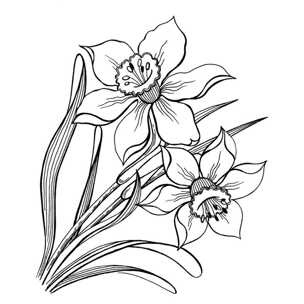 flores-exoticas-para-imprimir.gif