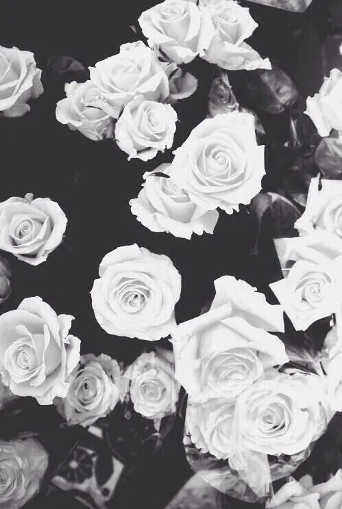 Flores tumblr fondo de pantalla - Imagui