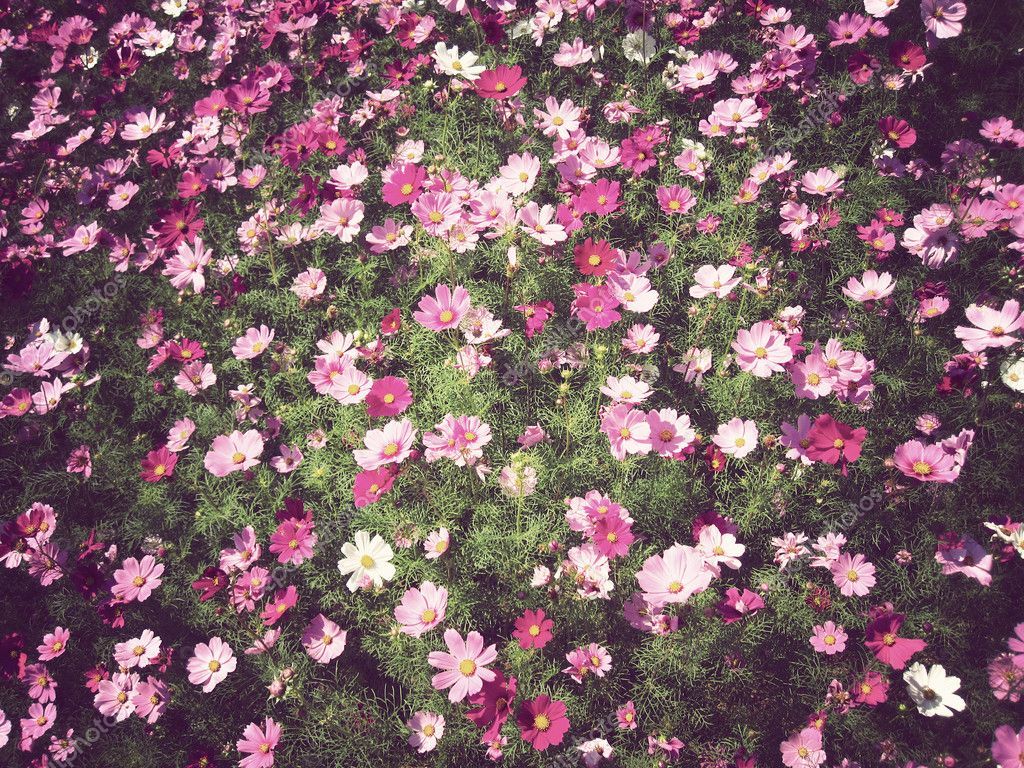 flores fondo vintage — Foto stock © kritiya #