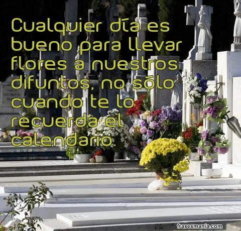 Cualquier día es bueno para llevar flores a .... Frases. Cualquier día es bueno para llevar flores a .... Frases.