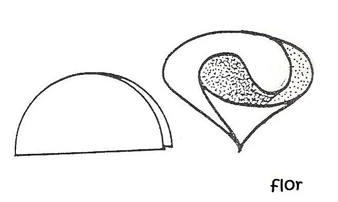 Molde de gorra - Imagui
