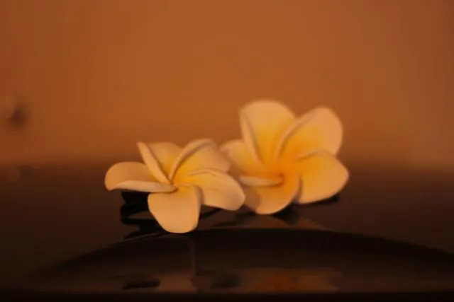 Flores hawaianas foami - Imagui