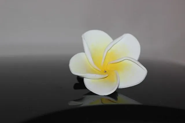 Flores hawaianas foami - Imagui