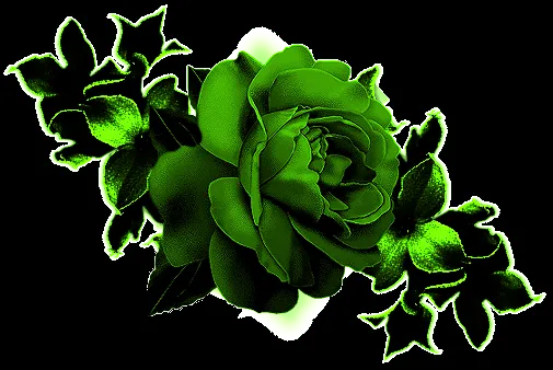 flores hermosas de amor MEMES Pictures flores hermosas de amor MEMES Pictures