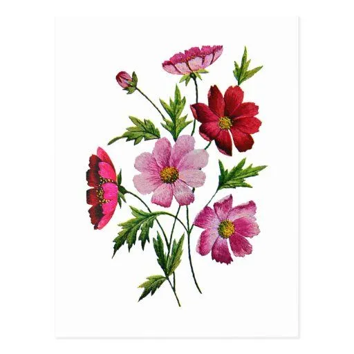 Flores hermosas del cosmos en bordado de la lana p postales | Zazzle Flores hermosas del cosmos en bordado de la lana p postales | Zazzle
