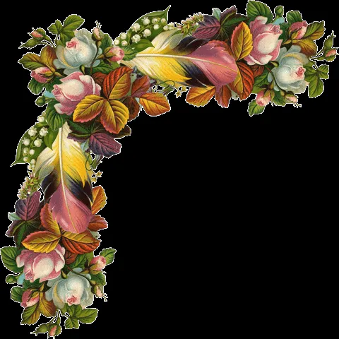 Flores hermosas para esquinas - Imagui