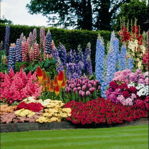 FLORES PARA JARDINES : TERRAZAS Y JARDINES: FOTOS DE JARDINES FLORES PARA JARDINES : TERRAZAS Y JARDINES: FOTOS DE JARDINES
