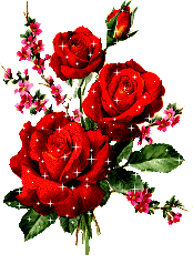 Flores Lindas