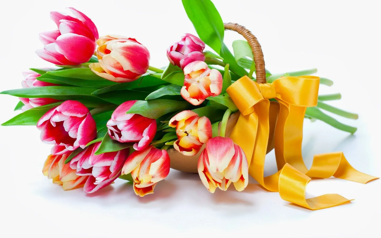 Flores lindas del mundo | Fotos Bonitas de Amor | Imágenes Bonitas ...