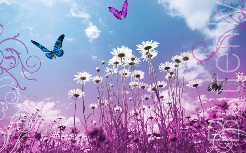 flores y mariposas.. by bihaus on DeviantArt flores y mariposas.. by bihaus on DeviantArt
