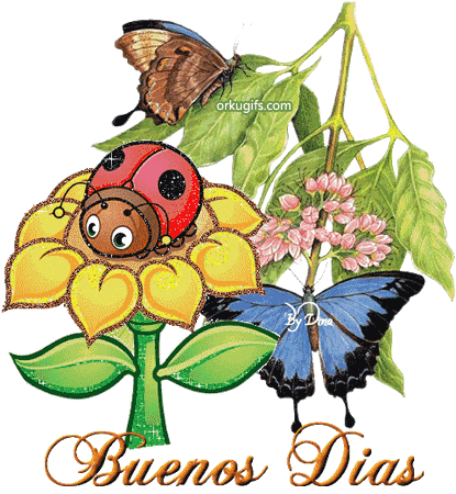 flores mariposas y mariquitas animadas Imágenes y Comentarios para ...