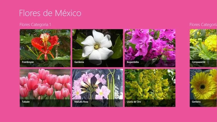 Flores de México for Windows 8 and 8.1